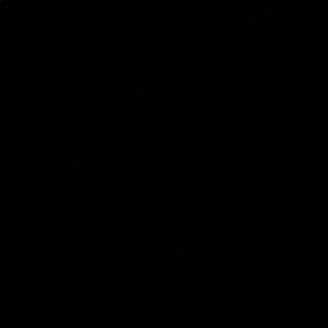 Meet your Posher, Adrienne